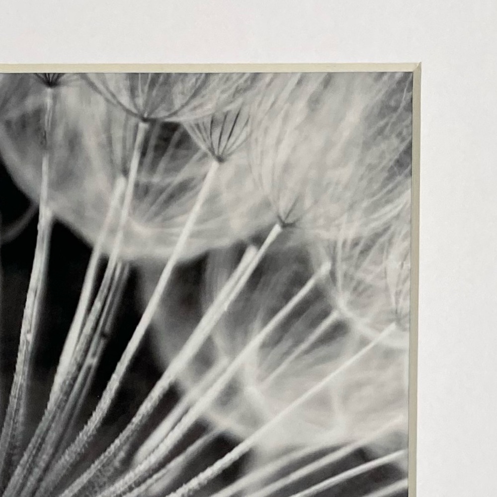 ❌SOLD❌DARK SUBLIME” ~ ORIGINAL ART by ~ @lisamichellebeckerphotography - Picture 5 of 15